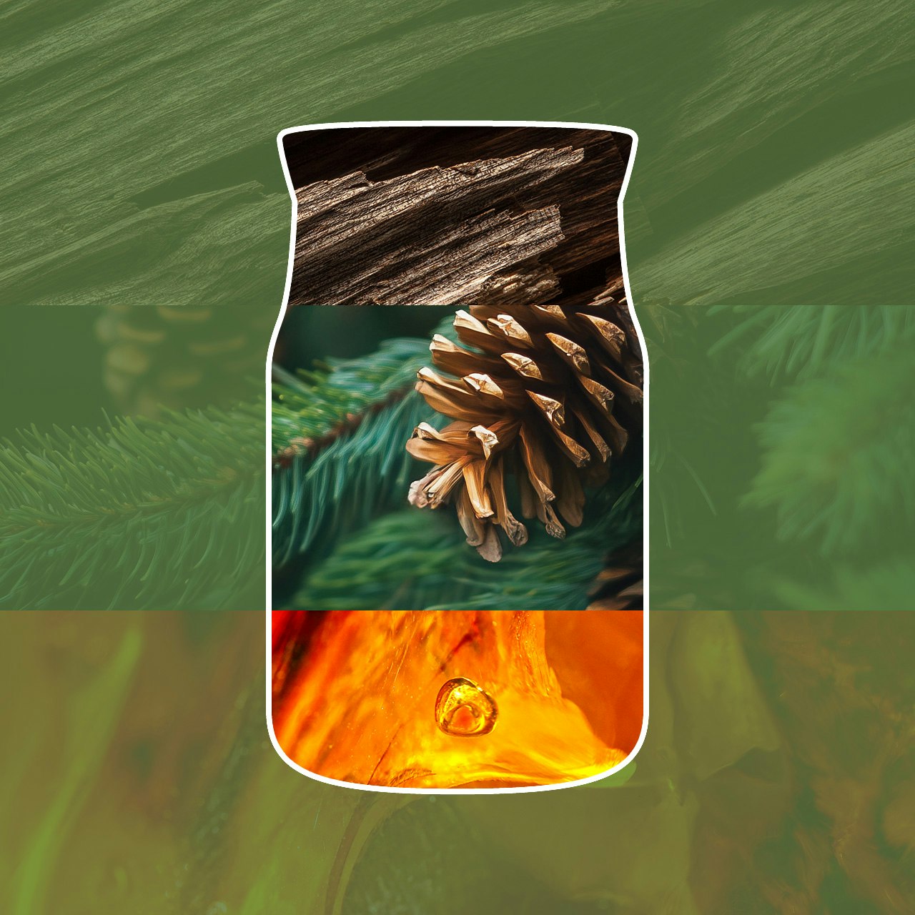 Balsam & Cedar Fireside 350 Punti 3 Una sagoma a forma di vaso, ricca di immagini di legno, una pigna su aghi verdi e una goccia di resina ambrata, evoca l’essenza terrosa di Balsam & Cedar Fireside, il tutto su uno sfondo verde.