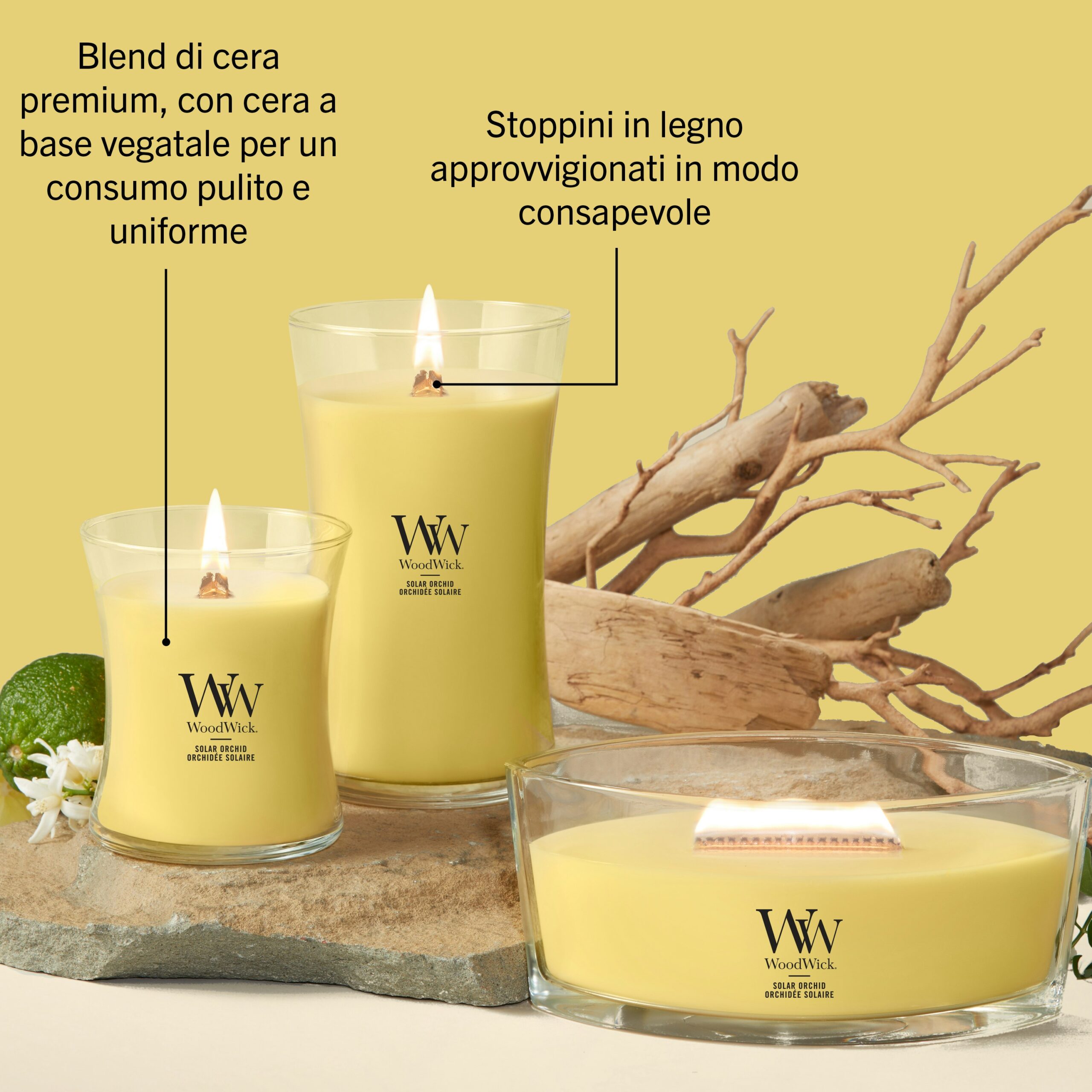 Solar Orchid – Candela Grande – WoodWick Giara Grande 2 Tre candele WoodWick gialle di varie forme, tra cui l’imponente Solar Orchid - Candela Grande, risplendono su una roccia davanti a uno sfondo giallo brillante. Il testo in italiano sottolinea la miscela di cera di alta qualità e gli stoppini in legno provenienti da fonti responsabili, il tutto esaltato dalla radiosa fragranza Solar Orchid.