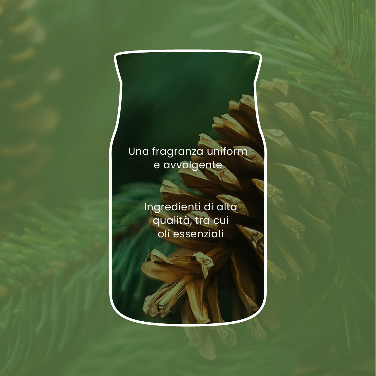 Balsam & Cedar Fireside 350 Punti 2 Una pigna e aghi di pino verdi, accompagnati da un testo in italiano che descrive la fragranza uniforme e avvolgente e gli ingredienti di alta qualità — tra cui oli essenziali come quelli presenti nella fragranza “Balsam & Cedar Fireside” — disposti a forma di diffusore o barattolo.