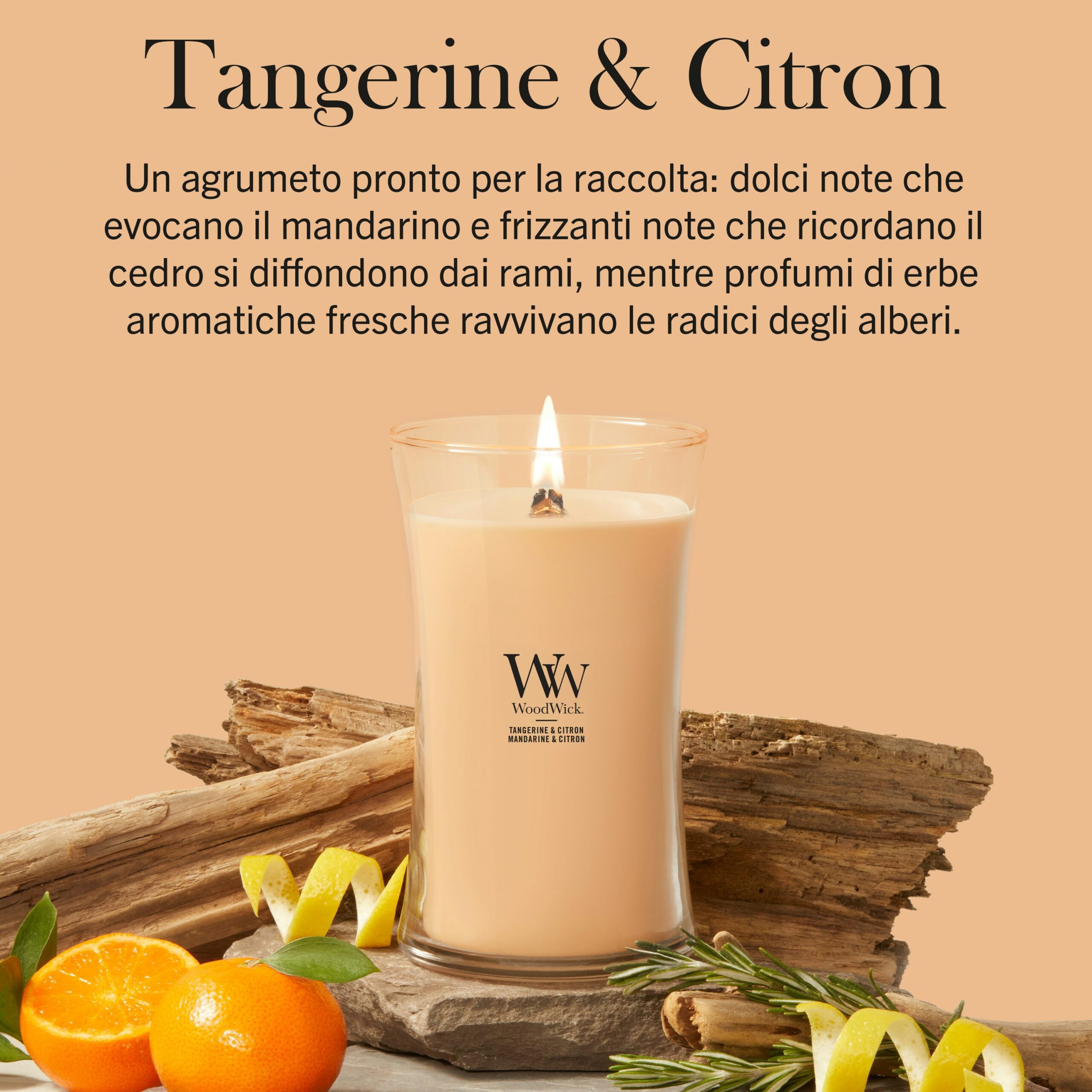 Tangerine & Citron – Candela Grande – WoodWick Giara Grande 3 Una candela “Tangerine & Citrus - Candela Grande - WoodWick” è circondata da vivaci fette di frutta e agrumi, delicati rametti e foglie fresche. Il testo sopra descrive la fragranza come una miscela di mandarino e cedro con vivaci note erbacee, che cattura l'essenza degli agrumi in ogni bagliore.