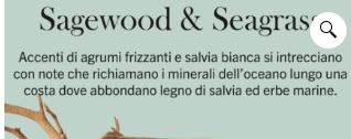 Sagewood and Seagrass – Candela Grande – Woodwick Giara Grande Il testo recita: “Sagewood & Seagrass. Accenti di agrumi frizzanti e salvia bianca si intrecciano con note che richiamano i minerali dell’oceano lungo una costa dove abbondano il legno di salvia e le erbe marine.”.