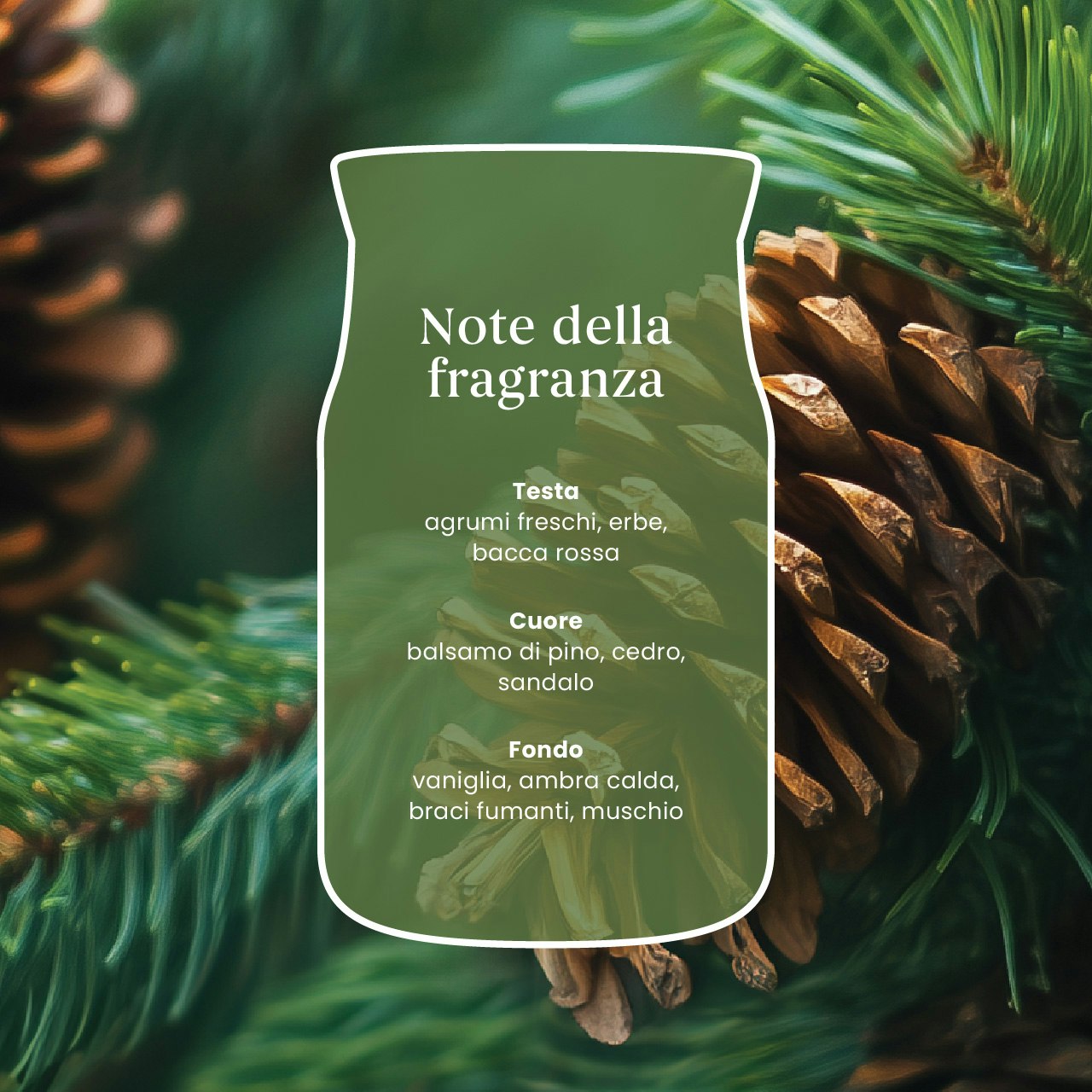 Balsam & Cedar Fireside 350 Punti 4 Primo piano di pigne e aghi di pino con un’etichetta traslucida che riporta in italiano le note olfattive della fragranza “Balsam & Cedar Fireside”, tra cui agrumi, erbe aromatiche, balsamo, cedro, legno di sandalo, vaniglia, ambra, note affumicate da caminetto e muschio.