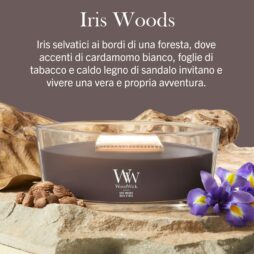 La candela “Iris Woods - Ellipse - Woodwick”, con finitura marrone, poggia su alcune rocce accanto a fiori viola e noci, con una didascalia in italiano sopra che ne descrive la fragranza.