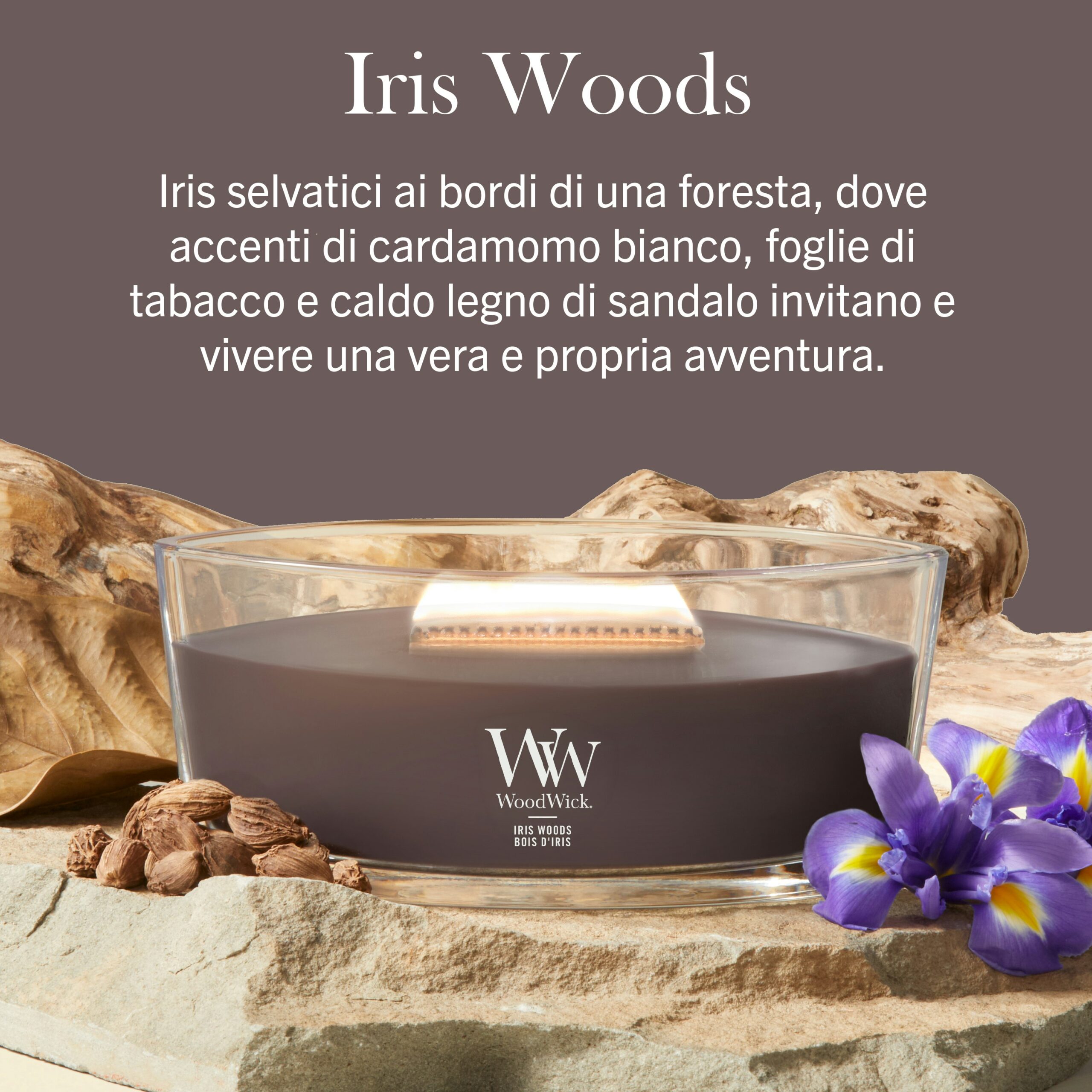 Iris Woods – Ellipse – Woodwick Ellipse La candela “Iris Woods - Ellipse - Woodwick”, con finitura marrone, poggia su alcune rocce accanto a fiori viola e noci, con una didascalia in italiano sopra che ne descrive la fragranza.