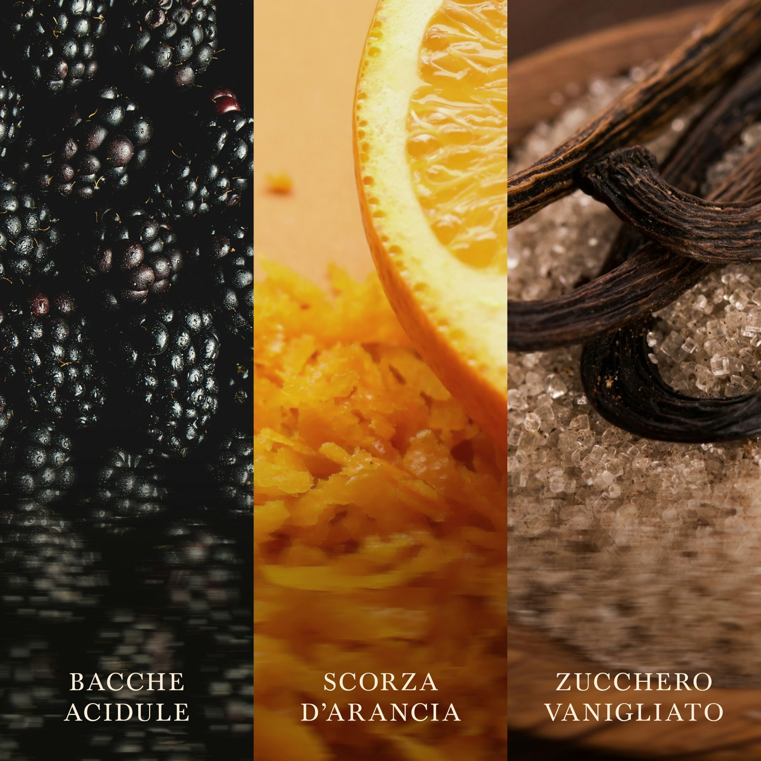 Spiced Blackberry – Candela Grande – Woodwick Giara Grande 6 Tre pannelli verticali mostrano un primo piano di bacche scure, scorza d’arancia con un’arancia affettata e baccelli di vaniglia adagiati su zucchero semolato. Sotto ogni immagine, una didascalia in italiano recita: Bacche Acidule, Scorza d’Arancia, Zucchero Vanigliato. Questa raffinata composizione cattura l’essenza unica di Spiced Blackberry – Candela Grande della collezione Woodwick.