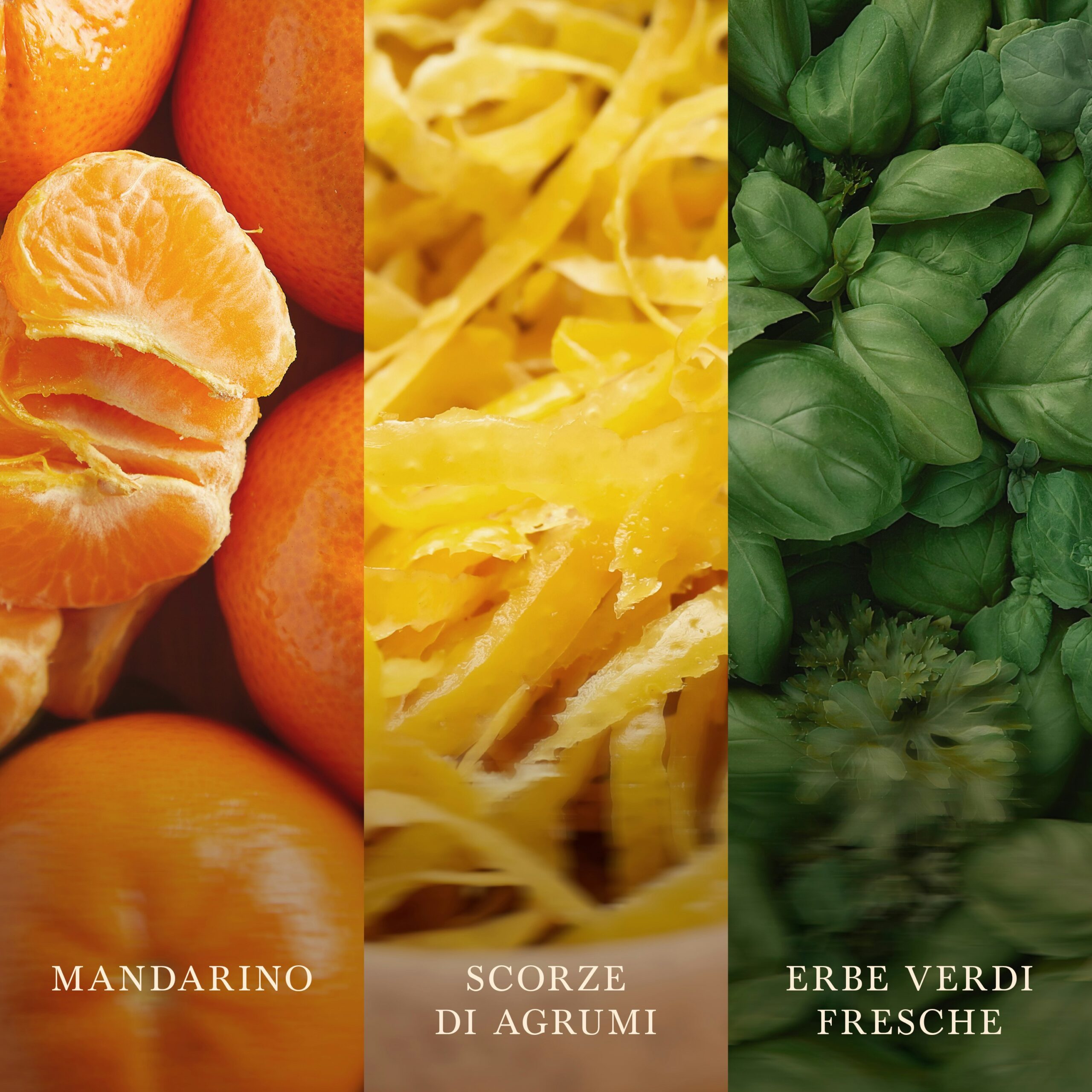 Tangerine & Citron – Candela Grande – WoodWick Giara Grande 6 Un primo piano mette in risalto mandarini sbucciati, scorze di agrumi ed erbe aromatiche fresche, ciascuna contrassegnata in italiano con le diciture “Mandarino”, “Scorze di agrumi” e “Erbe verdi fresche”. Questa vivace composizione cattura l’essenza della candela «Tangerine & Citrus - Candela Grande» di WoodWick, richiamandone l’aroma agrumato e rinvigorente.