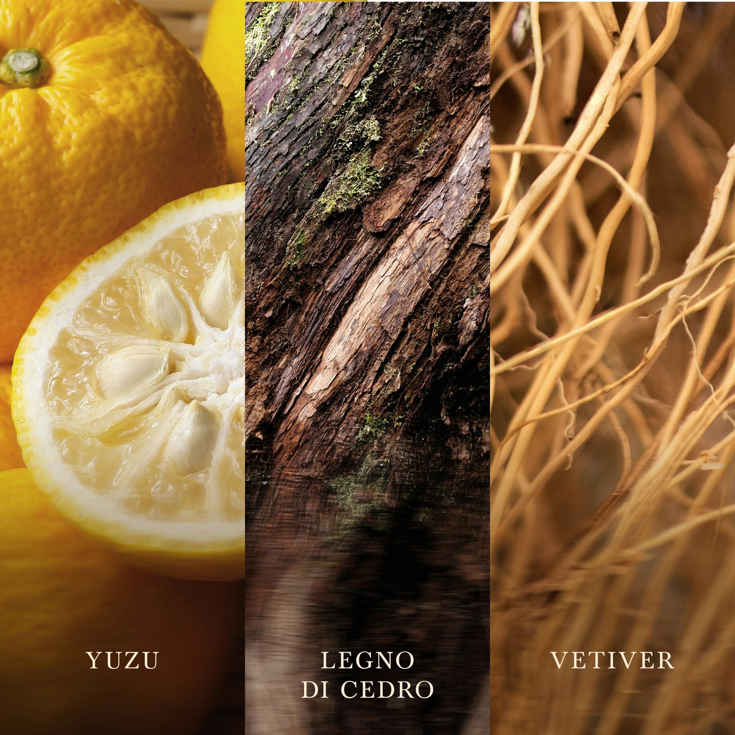 Yuzu & Vetiver – Candela Grande – WoodWick Giara Grande 3 Un primo piano mostra fette di yuzu, legno di cedro dalla trama ricca con delicati sentori di muschio e radici intrecciate di vetiver, ciascuna con la propria etichetta in italiano. La scena è pervasa dall’essenza di Yuzu & Vetiver — Candela Grande di WoodWick — che evoca l’atmosfera serena della sua candela iconica.