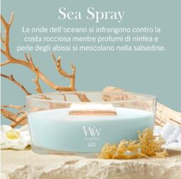 La candela “A Sea Spray - Ellipse” di WoodWick, caratterizzata da un contenitore in vetro trasparente e da cera azzurra, è disposta sulla sabbia accanto ad alghe, conchiglie e coralli, catturando il profumo tonificante dell'oceano. La composizione è incorniciata da uno sfondo azzurro chiaro decorato con una scritta in italiano che descrive la fragranza.