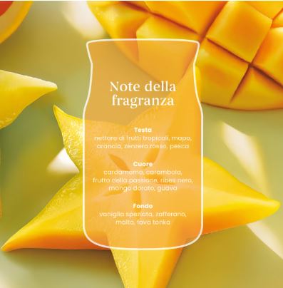 Starfruit And Sunshine – Candela Grande – Yankee Candle 350 Punti 5 Fette di mango disposte su una superficie gialla, con il contorno traslucido di un barattolo, presentano le note olfattive italiane scritte in bianco, evocando la freschezza radiosa di “Starfruit And Sunshine - Candela Grande” di Yankee Candle e il fascino tropicale che ricorda la loro collezione Starfruit.